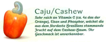Cashew Bild: Fruteiro do Brasil, Partner der GroßHandel EIS GmbH