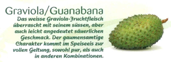 Guanabana Bild: Fruteiro do Brasil, Partner der GroßHandel EIS GmbH
