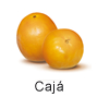 Tropische Früchte aus Brasilien. Caja, Fruteiro do Brasil, Partner der GroßHandel Eis GmbH