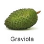 Tropische Früchte aus Brasilien. Graviola oder Guanabana, Fruteiro do Brasil, Partner der GroßHandel Eis GmbH