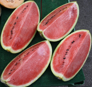 Wassermelonen als Eis. Pronto Wassermelone. Eis & Gelati zur Speiseeisherstellung