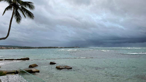 Dominikanische Republik. Palme mit Meer