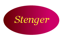 Logo Stenger Waffeln, Qualitätswaffeln aus Deutschland. Karo Eistüten, Wundertüten, gerollte Waffeltüten, süße Hörnchen, Rundwaffeln, Herzwaffeln, Partner der GroßHandel EIS GmbH