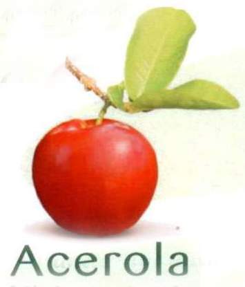 Acerola, Kirschartige Frucht aus Nordosten von Brasilin, neu bei GroßHandel EIS GmbH im TK Angebot