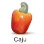 Tropische Früchte aus Brasilien. Caju, Fruteiro do Brasil, Partner der GroßHandel Eis GmbH. Smoothies mit 100% tropischer Frucht. 200g Alubeutel zum Trinken, 1kg Tiefkühlpackung, zur Herstellung von Smoothies, Speiseeis, Eisdekor, Fruchtspiegel, Cocktails, Konditoreiprodukte, GroßHandel EIS GmbH