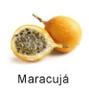 Tropische Früchte aus Brasilien. Maracujá, Fruteiro do Brasil, Partner der GroßHandel Eis GmbH