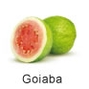 Tropische Früchte aus Brasilien. Goiaba oder Guave, Fruteiro do Brasil, Partner der GroßHandel Eis GmbH