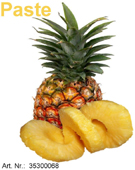 Eis & Gelati Eisprodukte für die Eisdiele und Konditorei. Fruchteispaste Ananas.