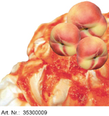 Eis & Gelati Variegatos. Variegati zur Marmorierung und Streifung von Speiseeis, Herstellung von Variationen zu normalem Speiseeis und Dekoration von Eisbechern und Nachspeisen für die Eisdiele, Konditorei, Eissalon, Großküche und Gastronomie. Eis & Gelati Variegato in den Sorten Amarenada Variegato, Biscaffe Variegato, Biscotti Variegato, Biscotti Bianco Variegato, Cremini Chrunchy Variegato, Edelnougat Variegato, Erdbeer Variegato, Granatapfel Variegato, Heidelbeere Variegato, Himbeere Variegato, Holunder Beere Variegato, Johannisbeere Variegato, Kürbis Variegato, Mandarine Variegato, Maroni Variegato, Marsala Rosinen Variegato, Nougat mit Stücken Variegato, Orangen Variegato, Pfirsich Orange Variegato, Sauerkirsche Variegato, Stracciatella Copertura Variegato, Walderdbeere Variegato, Waldbeeren Variegato. 