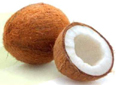 Tropische Früchte aus Brasilien. Kokosnuss, Fruteiro do Brasil, Partner der GroßHandel Eis GmbH